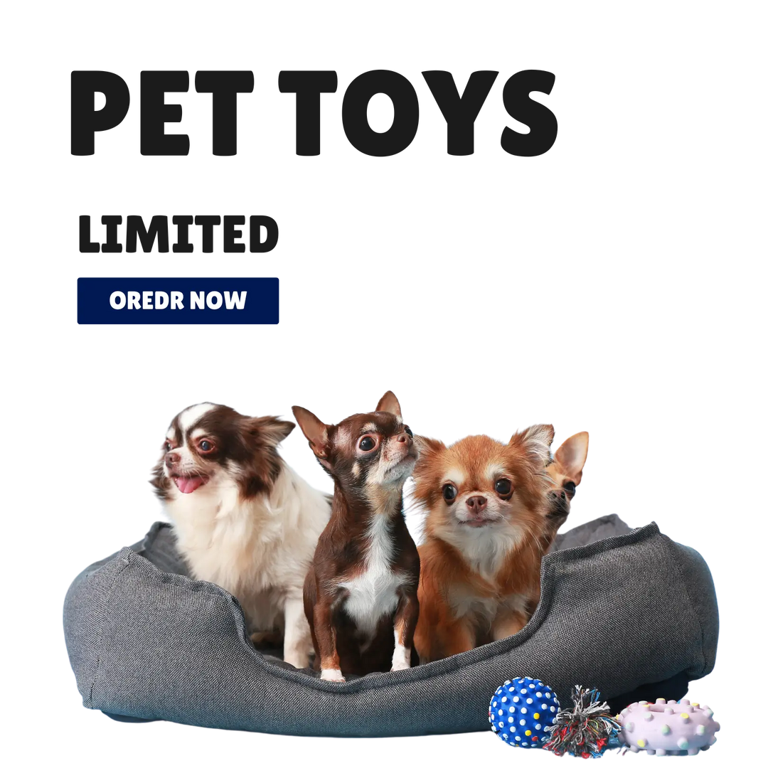 Pet Toys