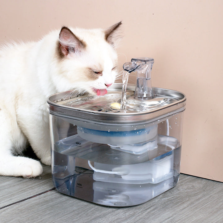 Stainless Steel Automatic Pet Water Dispenser with Intelligent Circulation