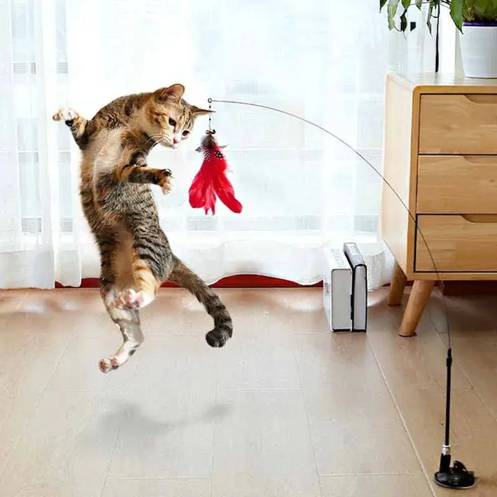 Cat Wand Toy