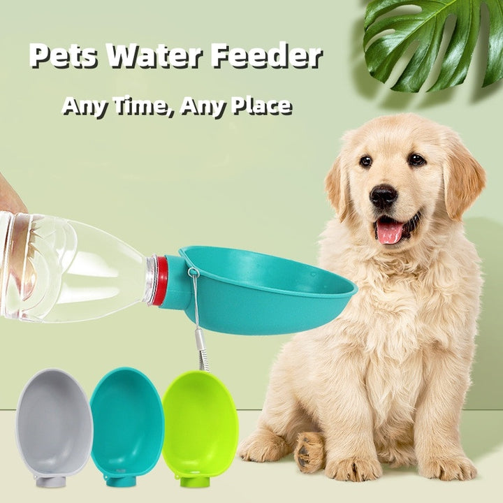 Portable Dog Water Bowl - Outdoor Pet Kettle for Small Breeds