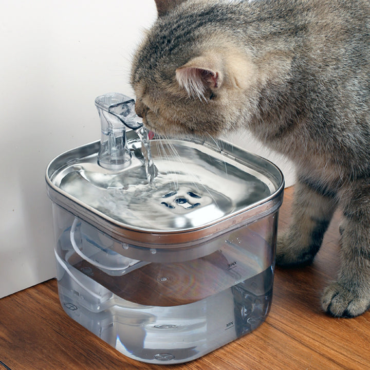 Stainless Steel Automatic Pet Water Dispenser with Intelligent Circulation